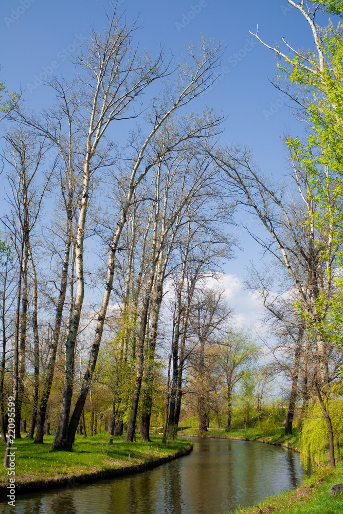 Fototapeta premium Park landscape