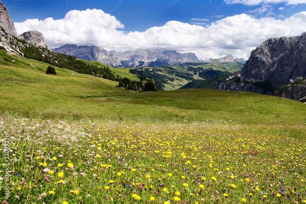 passo gardena alias grodner joch - sella gruppe dolomiti italy