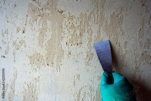 IMG_4392 papier peint