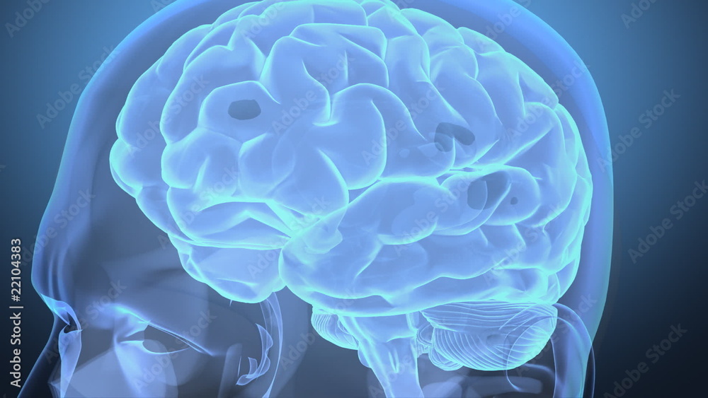 Journey into human head, with brain and neurons