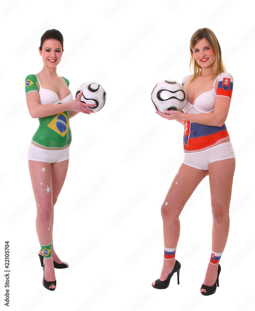 WM 2010 Spiel Brasilien - Slowakei WM 2010 Spiel Brasilien - Slowakei