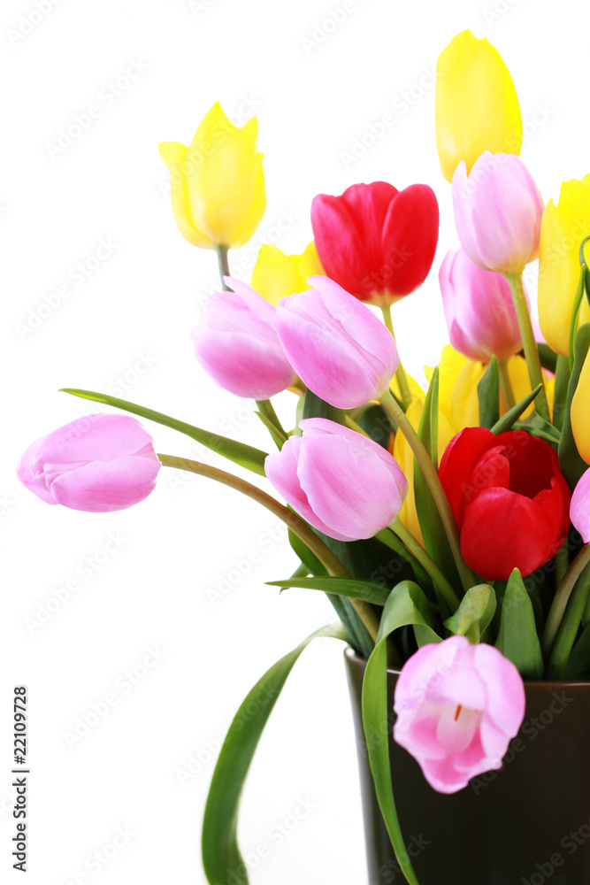 vase of tulips vase of tulips