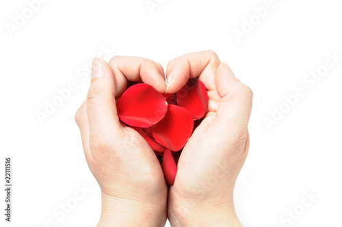 Fototapeta Naklejka Na Ścianę i Meble -  Heart made of rose petals in a hands