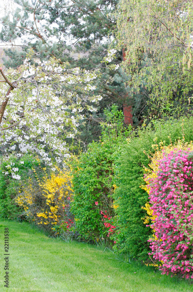 Fototapeta premium haie de jardin