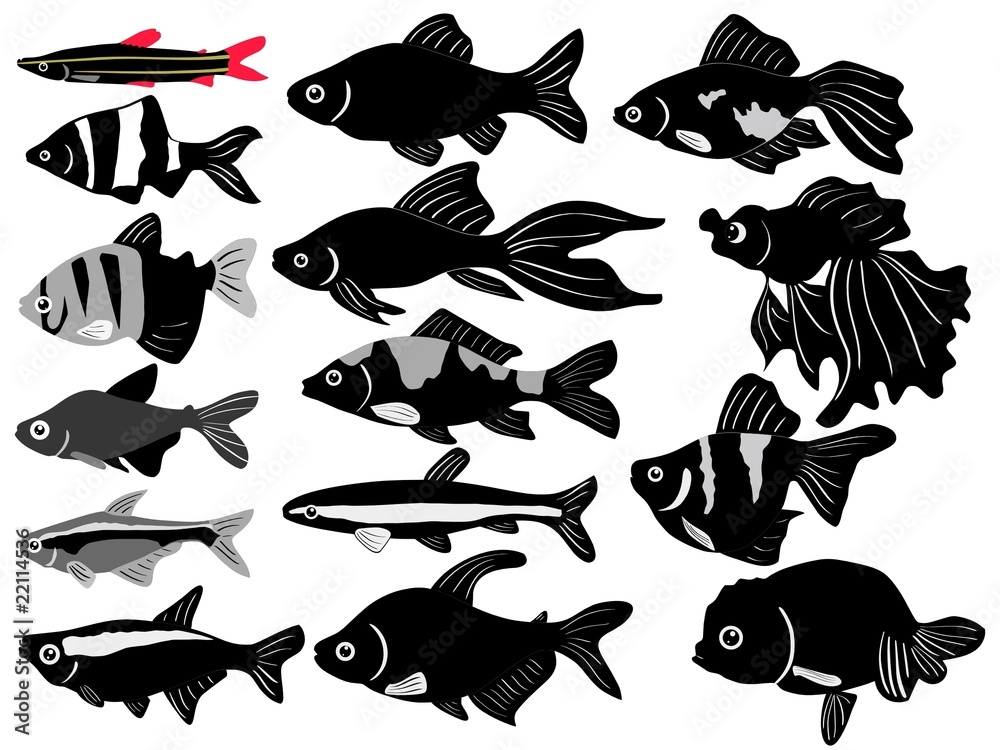 set of aquarian fish set of aquarian fish