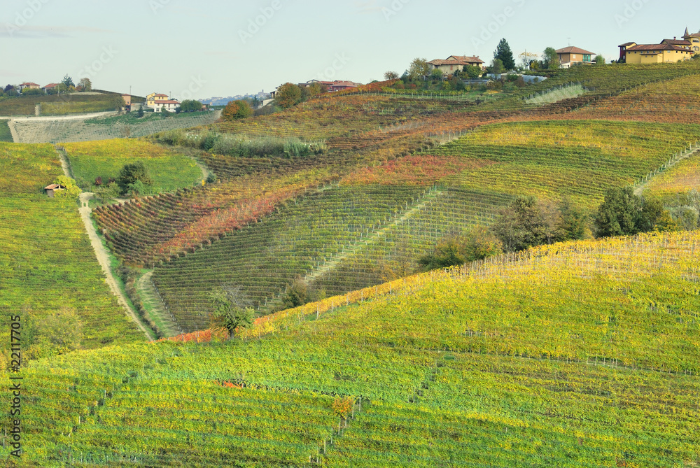 autumnal landscape with vineyards in the Langhe, Italy,