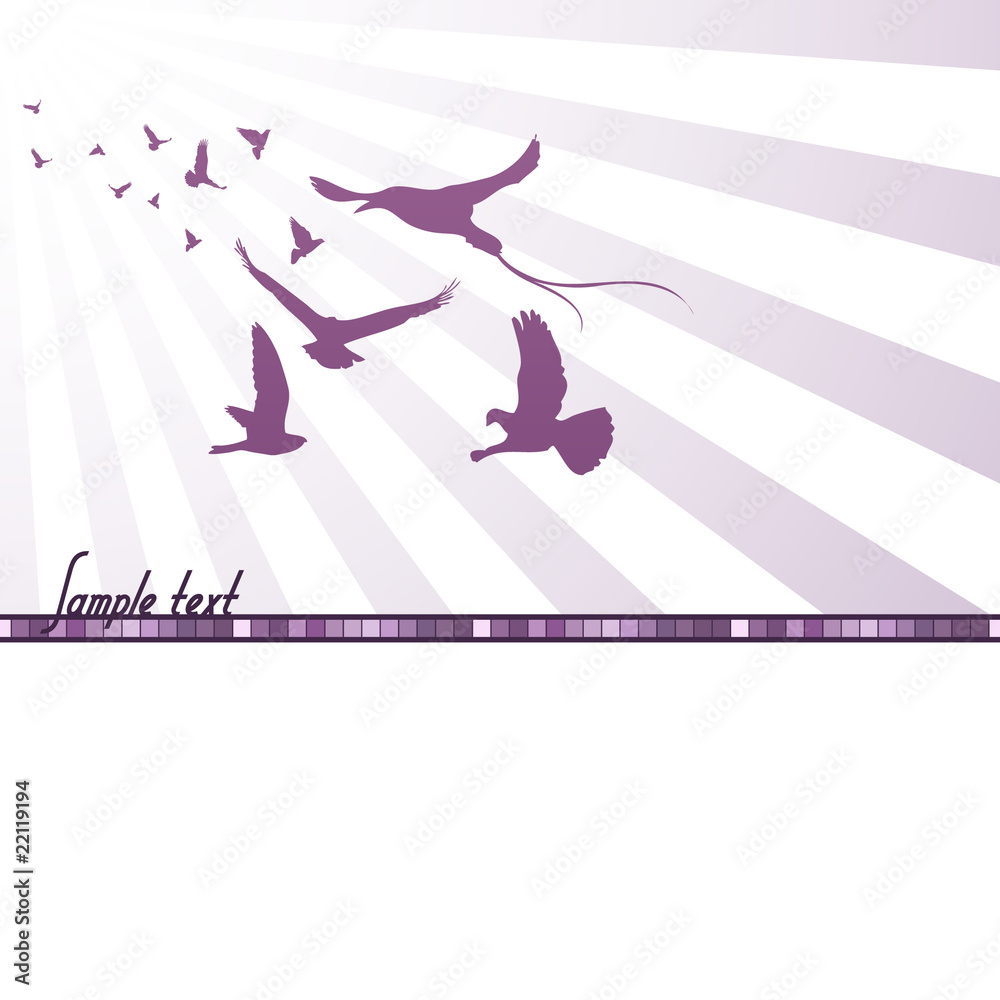 Abstract background with birds. Vector illustration.
