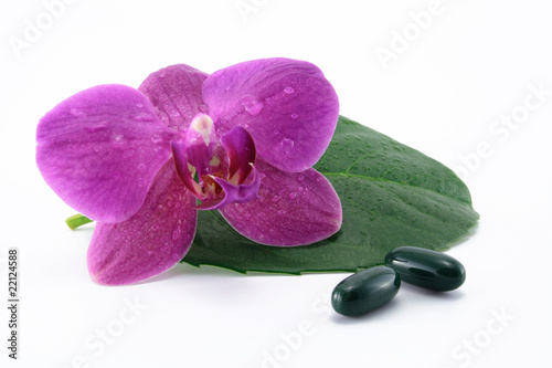 tabletten mit orchidee