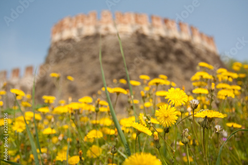 Castle with flowers in italy photo