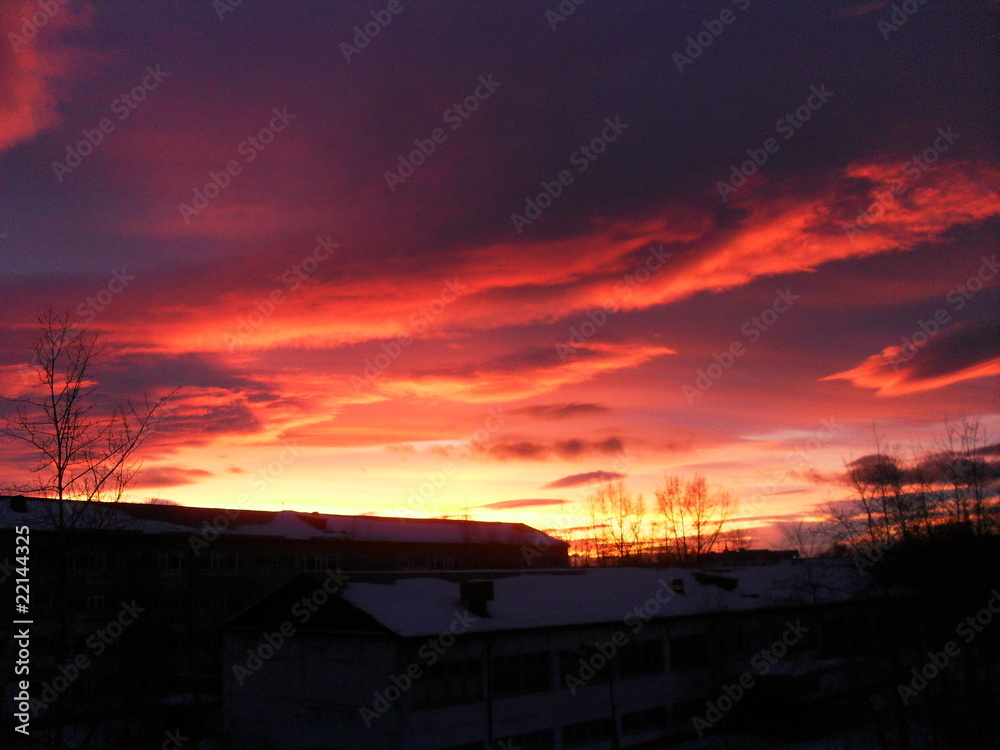 Fototapeta premium <SAMSUNG DIGITAL CAMERA>