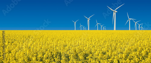 turbine eoliche in prato giallo fiorito