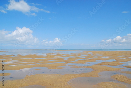 Plage à marée basse