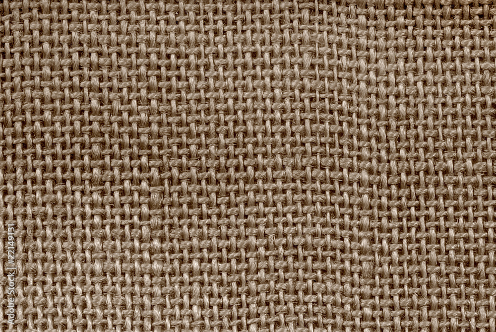 Canvas Canvas