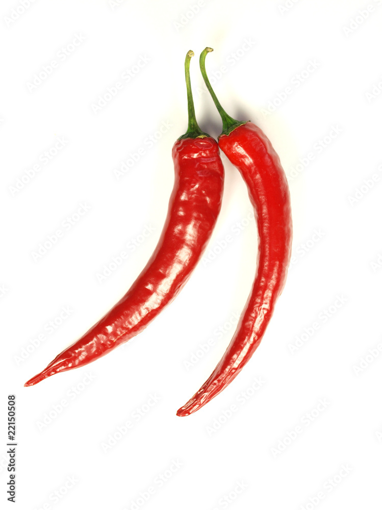 red hot chili peppers on white background red hot chili peppers on white background