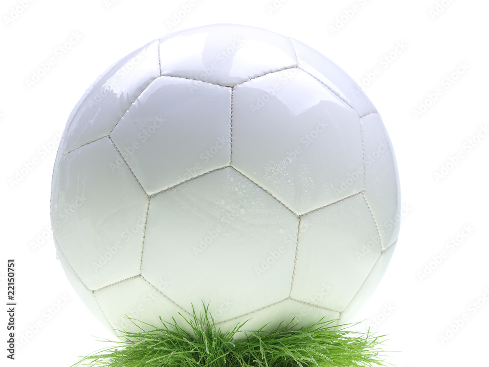 Fototapeta premium soccer ball on green grass