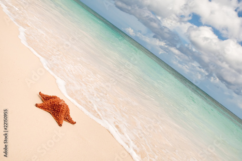 Red starfish on a sand beach