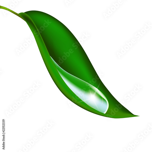 Wassertropfen