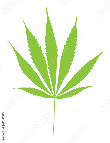 Green marihuana leaf