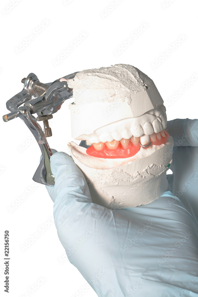 Fototapeta premium Dental Lab Articulator with dental prosthesis
