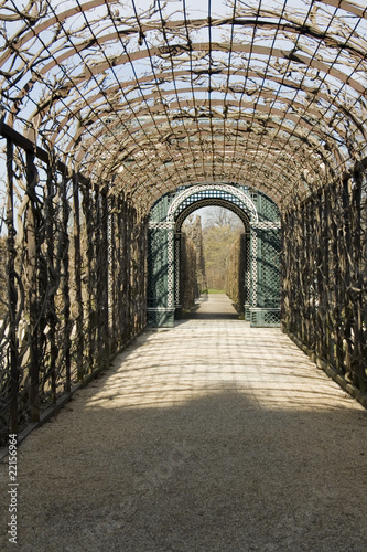 Garden Arch