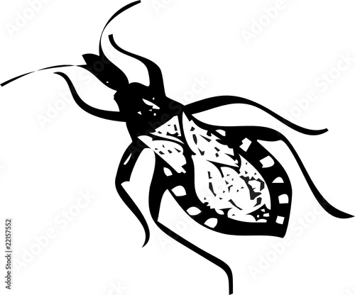 kissing bug vector isolated on white  illustration silhouette