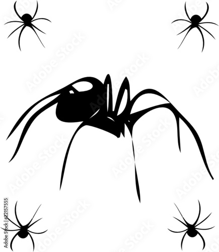 black widows vector isolated on white  illustration silhouette