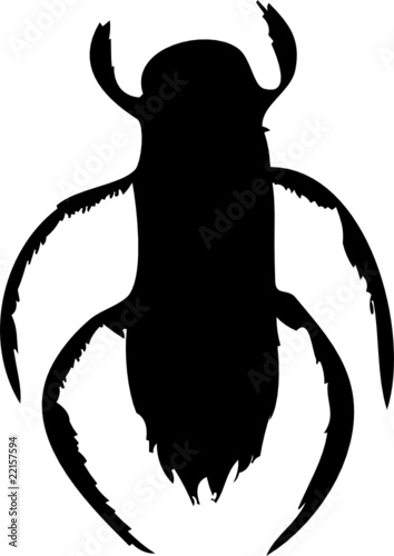 water bug vector isolated on white  illustration silhouette