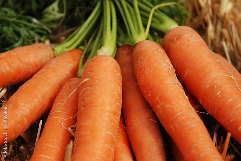 Möhrrüben auf Markt