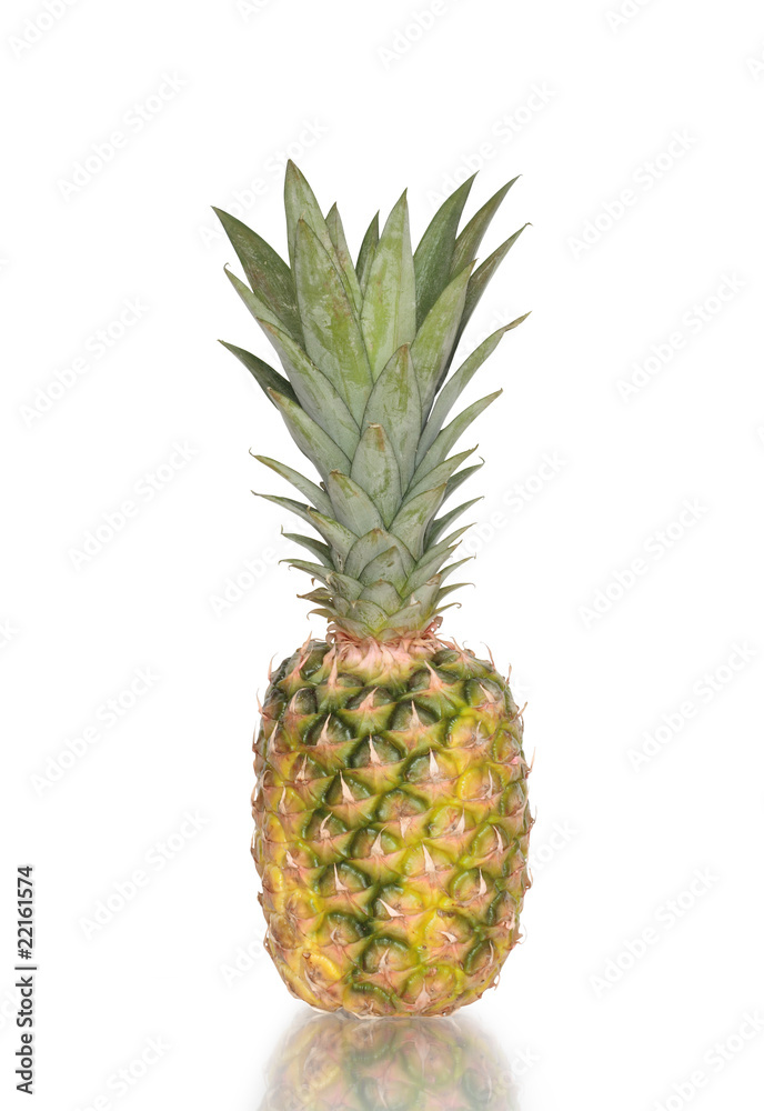 Pineapple Pineapple
