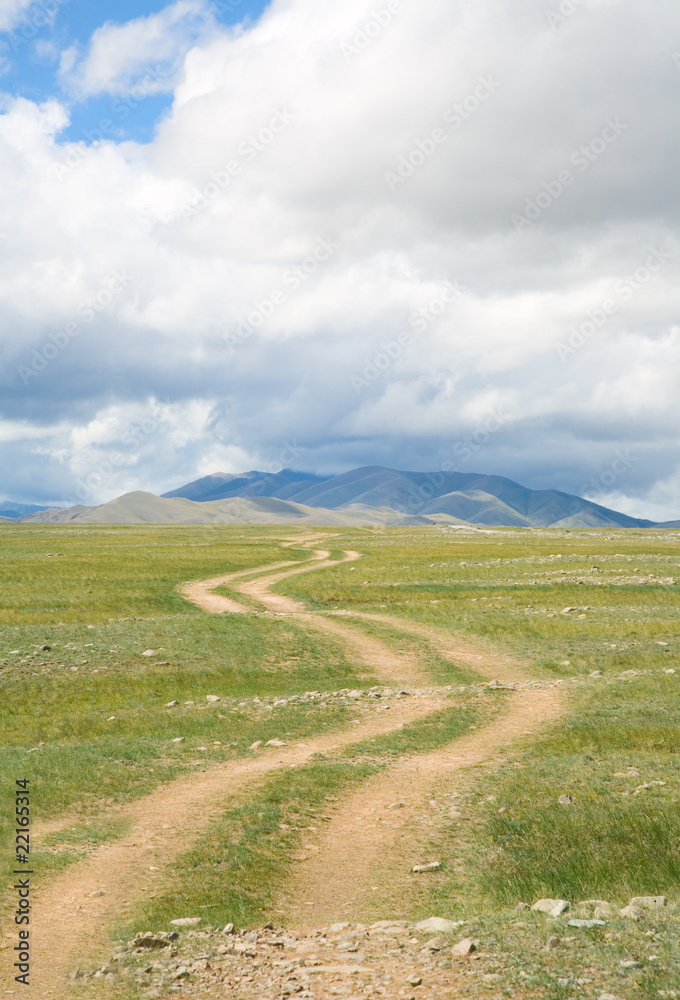 Naklejka premium Road in the mountain steppes