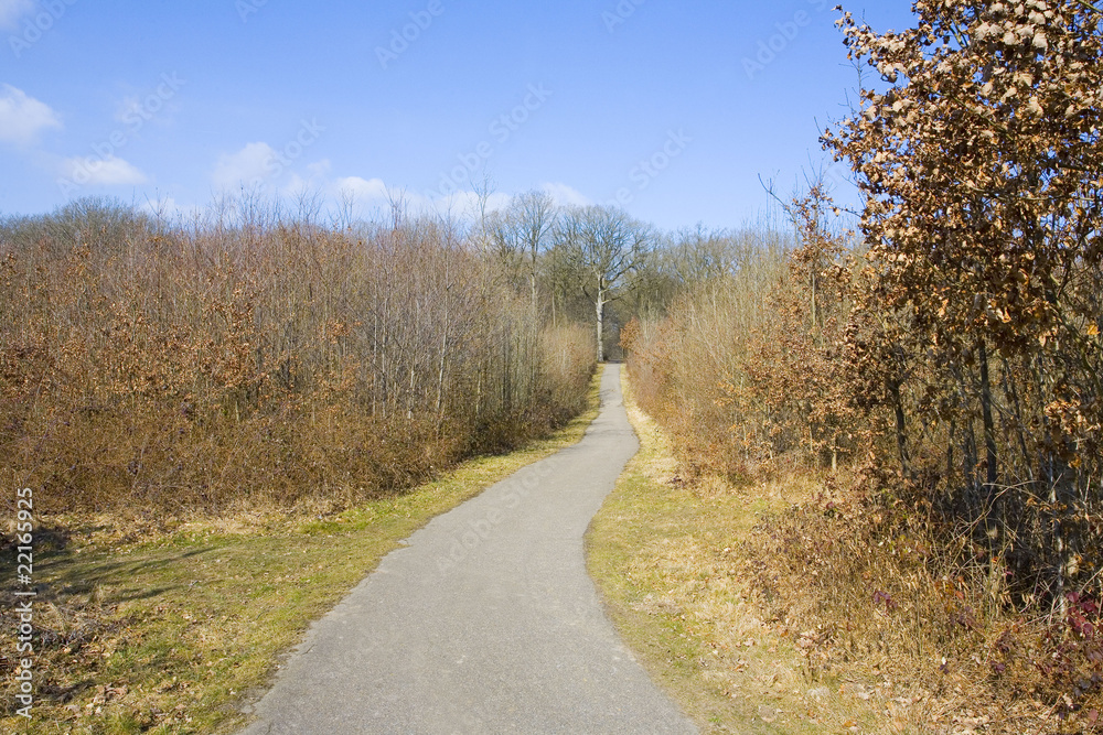 Fototapeta premium france,île de france,78 : vallée de chevreuse, route forestiere