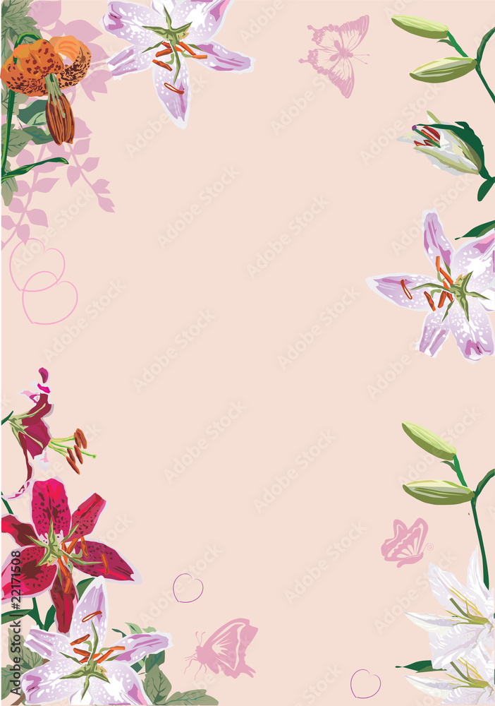 lily flowers frame illustration on pink lily flowers frame illustration on pink