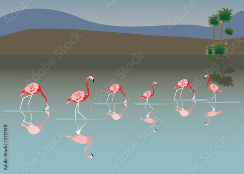 pink flamingo in lake