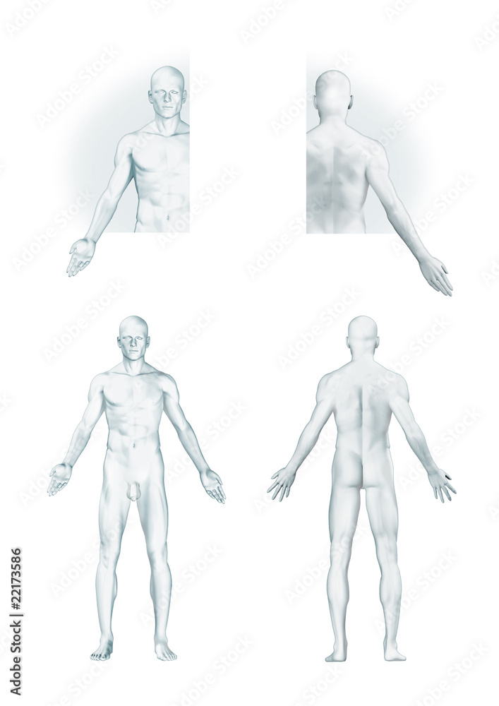 Silueta de hombre con genital (trazado de recorte) Silueta de hombre con genital (trazado de recorte)