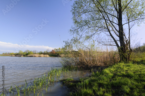 Fototapeta Naklejka Na Ścianę i Meble -  Lake in the spring