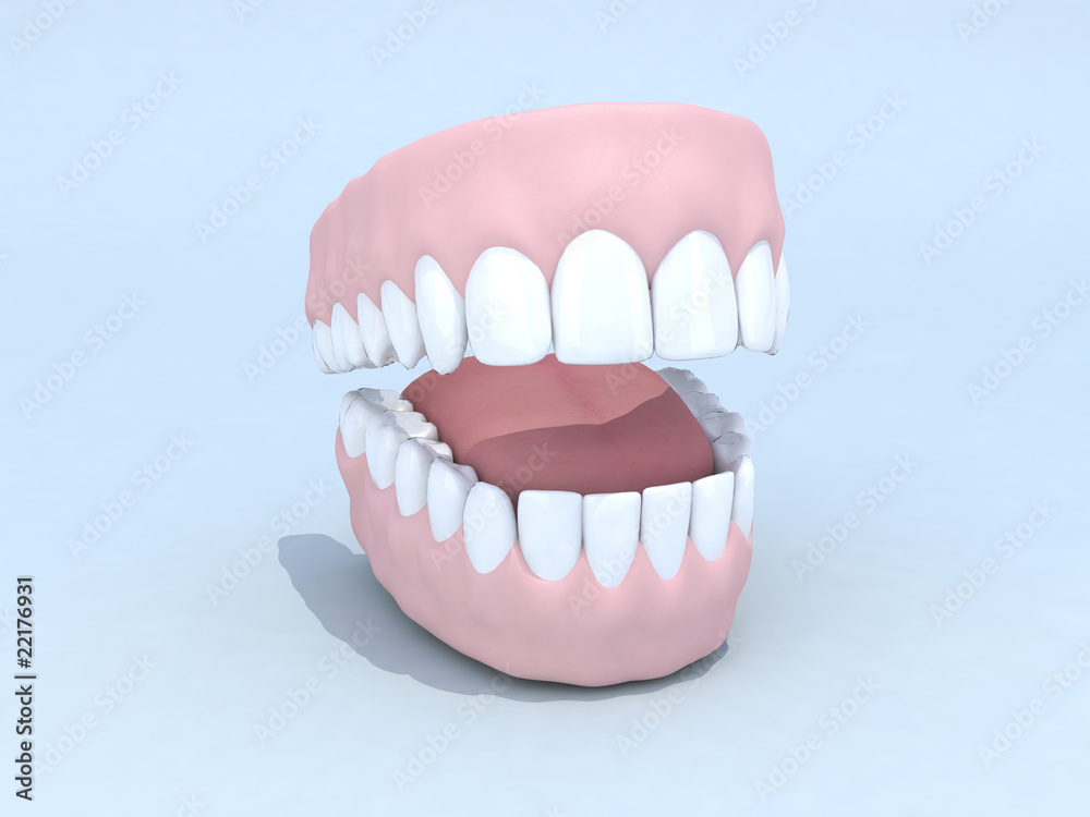 Obraz premium dentiera