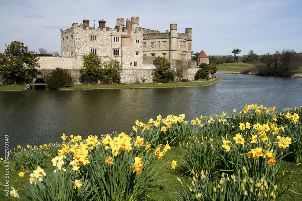 leeds castle spring daffodils kent