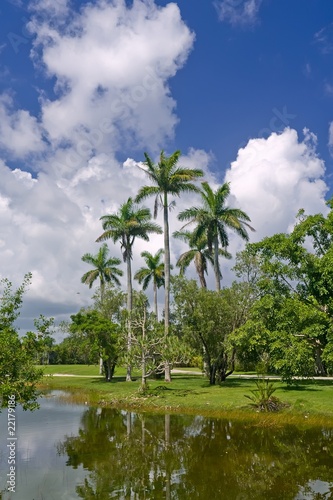 Fairchild tropical botanic garden © sborisov