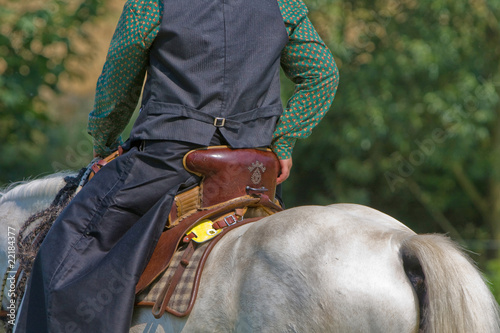 Carmargue-Pferd