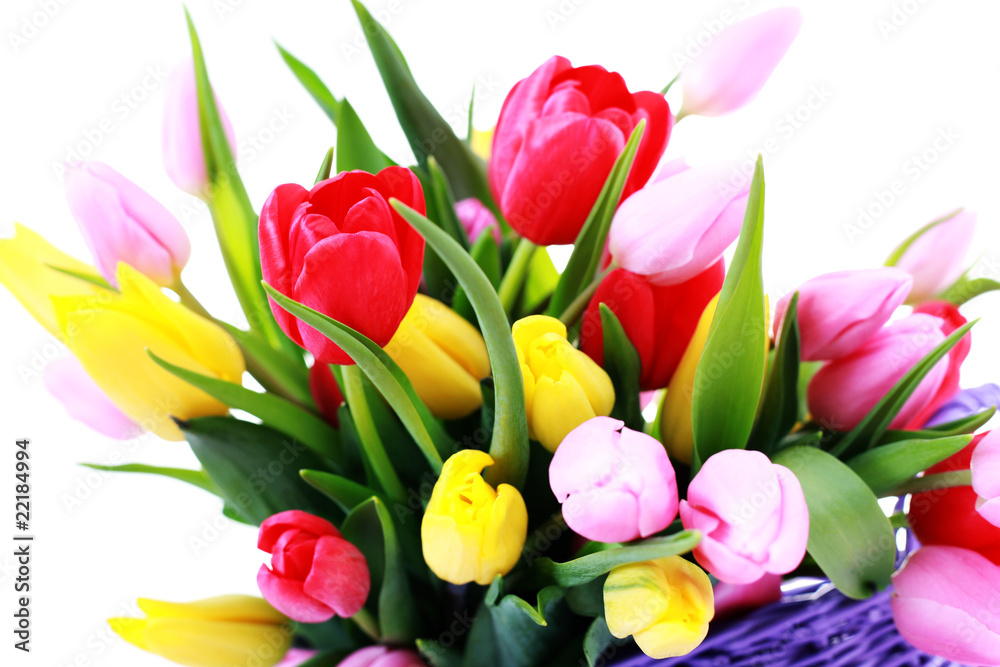 Fototapeta premium basket full of tulips