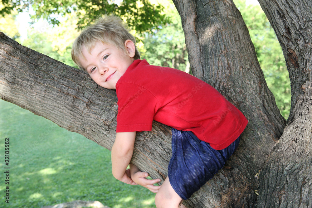 Smiling boy hugging a tree Smiling boy hugging a tree