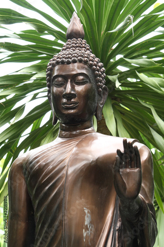 buddha image with tree background
