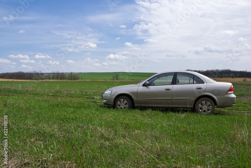 Silver car on the green meadow © Boris A