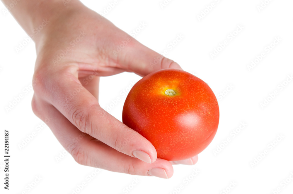 Big red tomato in hands isolated on white Big red tomato in hands isolated on white