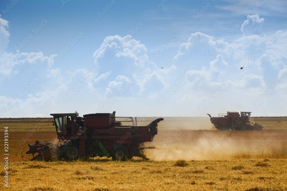 Harvest time Harvest time