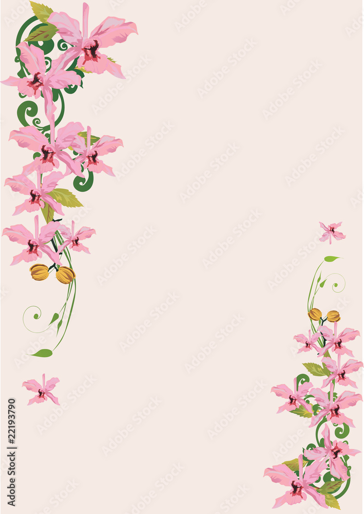 light pink orchids decoration
