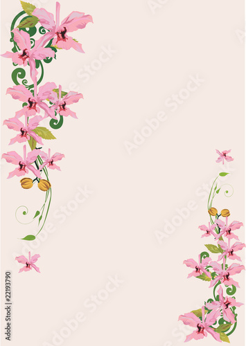 Wallpaper Mural light pink orchids decoration Torontodigital.ca