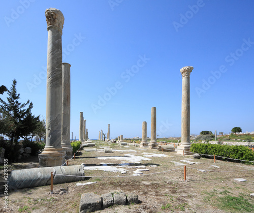 Tyre Roman Columns archeological site, Lebanon