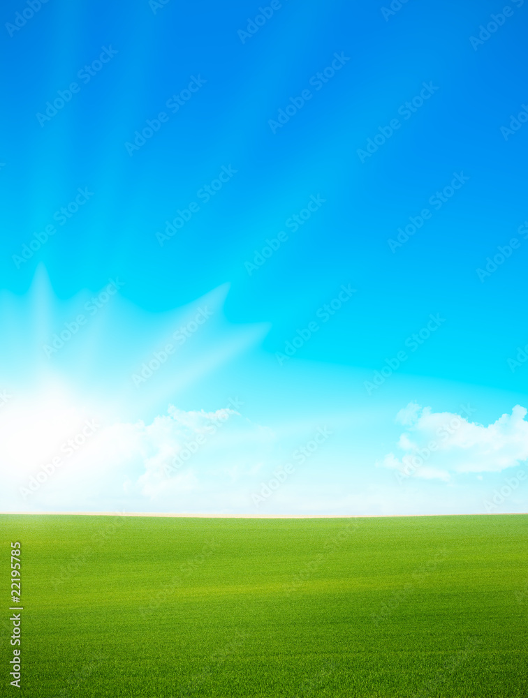 Landscape - green field and blue sky