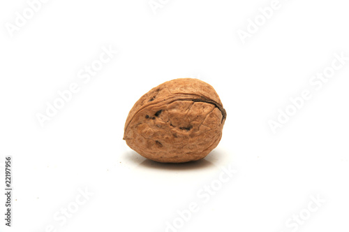 wallnut